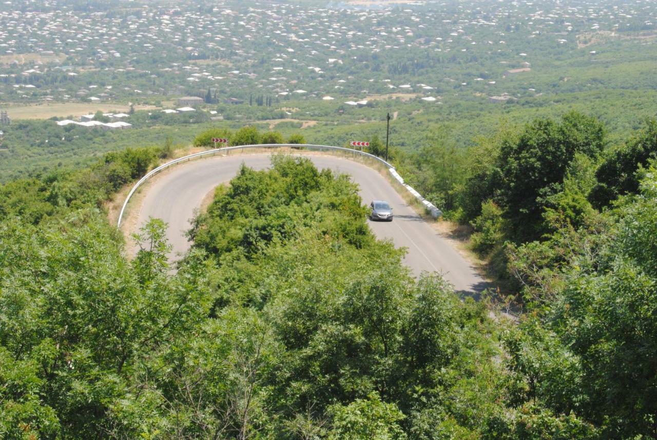 Tsanava'S Cottage In Sighnaghi Εξωτερικό φωτογραφία