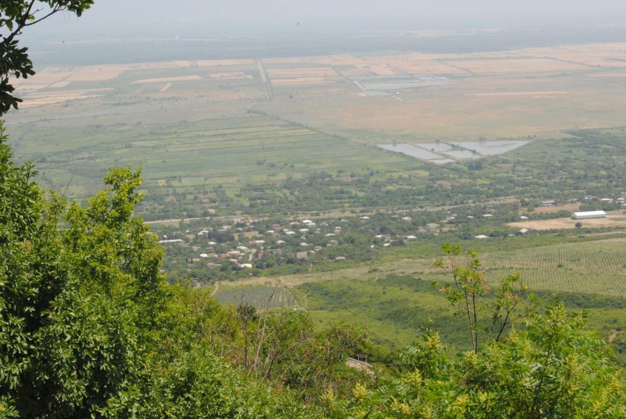 Tsanava'S Cottage In Sighnaghi Εξωτερικό φωτογραφία